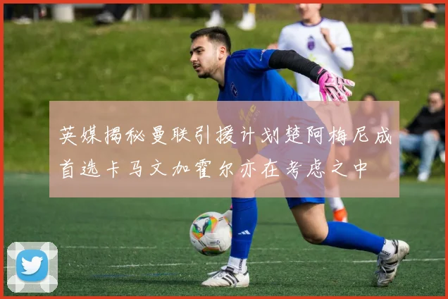 英媒揭秘曼联引援计划楚阿梅尼成首选卡马文加霍尔亦在考虑之中
