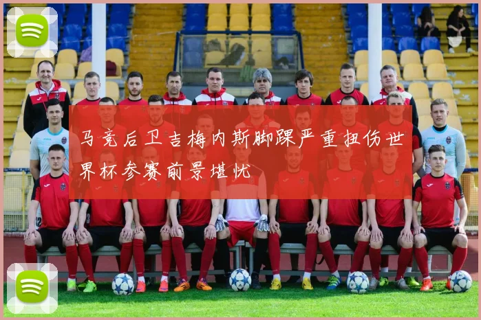 马竞后卫吉梅内斯脚踝严重扭伤世界杯参赛前景堪忧